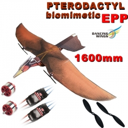 KIT PTERODACTYLE  1600mm EN  EPP DANCING WINGS COMBO 1