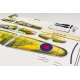 JET EN EPP  ELErc  M339  KIT + COMBO 1